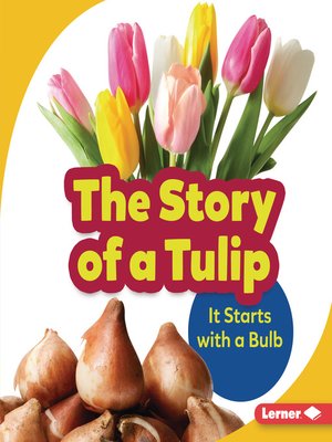 cover image of The Story of a Tulip